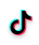 TikTok Icon